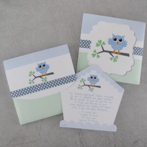 Προσκλητήριο βάπτισης με θέμα κουκουβάγια και εκτυπωμένος φάκελος - κουτί.