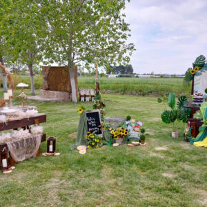 Rustic στολισμός γάμου και βάπτισης με θέμα Safari και ξύλινα στοιχεία.