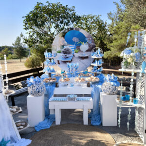 Στολισμός βάπτισης με θέμα τον σκαντζόχοιρο σε γαλάζιες αποχρώσεις.